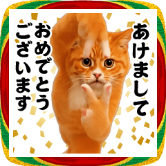 Dance! Now This/Cat Meme/New Year