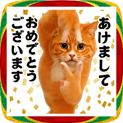 踊る！今これ界隈/猫ミーム/お正月