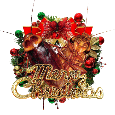 潔西女孩_62_大蟑螂_聖誕節_(全螢幕貼圖)