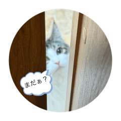 rinka_20251130060022