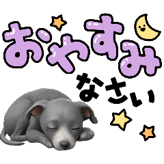 ayame_20251201230038