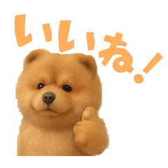 ayame_20251201225735