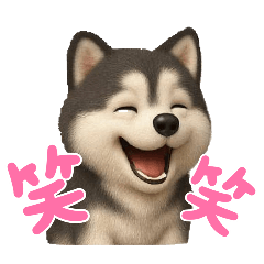 ayame_20251201230518