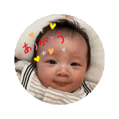 Panda_20251201140511