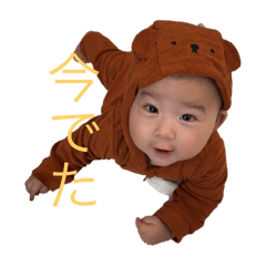 koto_20251201162745