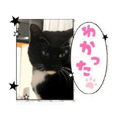 NATUNATU_20251201220753