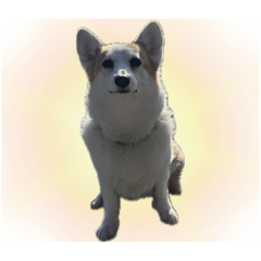 miyosshi_20251201192205