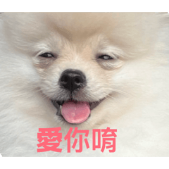 奶茶&饅頭表情包