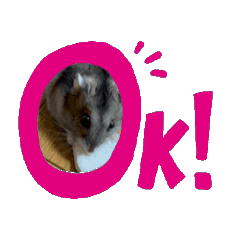 mashu_20251202073316