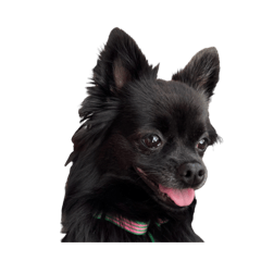 akane_20251201145425