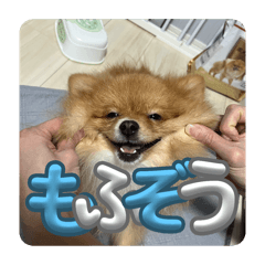 mofuzou_20251201170213