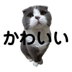 sunagimo_20251201210258