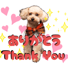 Haruka_20251130101146