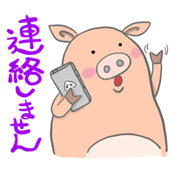 Mr.Sen, a micro piglet