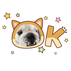 HARUKA_20251201162147