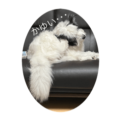 nanako_20251201221520