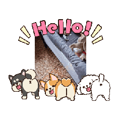 誰家的寶貝那麼可愛呢