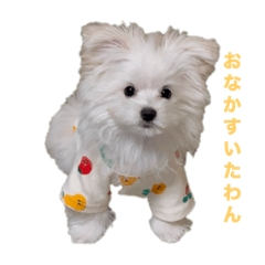 sakichan_20251201204542