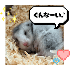 JUNKA_20251201172505