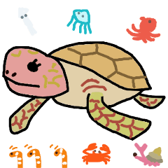 海ガメです