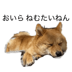 nanami_20251201210454