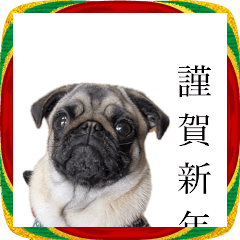 あけおめ獅子舞パグ