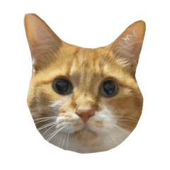 Arisa_20251201193346