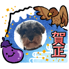 Mizuki_20251201194252