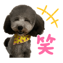 Hikari_20251202054244