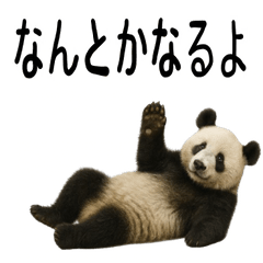 Kansai Panda: Animal Friends