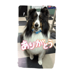 smile_20251201234424