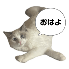 Yorumu_20251202100443