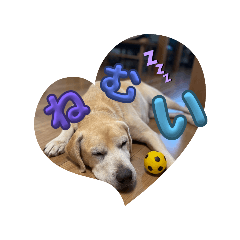 kotomi_20251201204346