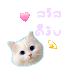 Emoji: stickers cool_20251201222753