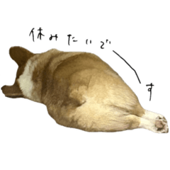 yukki_20251202002700