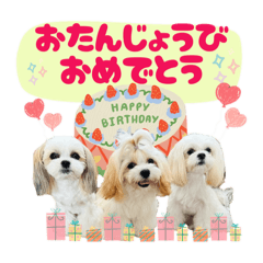 衣舞＆亜多夢＆夢多