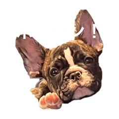 URUCHAN_20251202111214