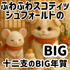 Fluffy Scottish Folds & Zodiac BIG!