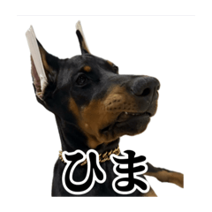 mirei_20251201215603