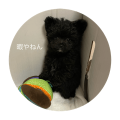 OHAGI_20251201214330