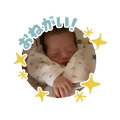 Kinako_20251202115648