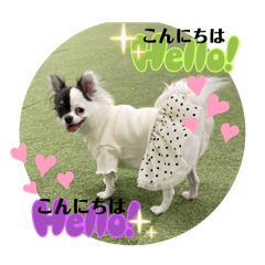 misaki_20251202113933