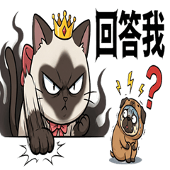 喵殿下與巴布放的迷因生存記