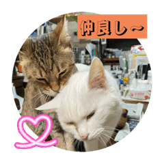 hukukuma_20251202080123