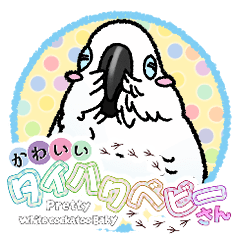 かわいいタイハクベビーさん