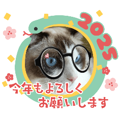 kaito_20251202124855