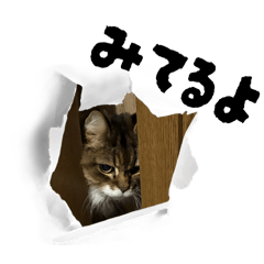 gu-chan_20251202125302