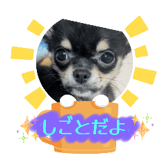 yukari_20251202130705