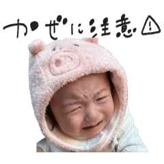 ringo_20251202131643