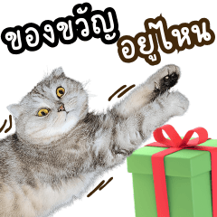 Save My Cat! Version Greeting Time